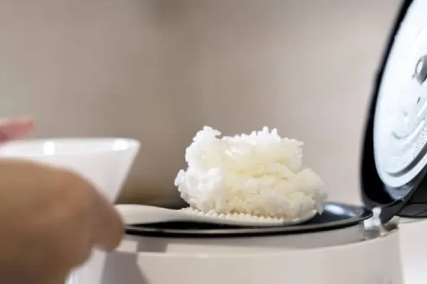 How to prevent the problem of cooking jasmine rice and it permanently spoiling Don't come back to be spoiled again.